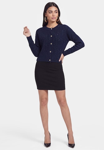 faina Gebreid vest in Blauw