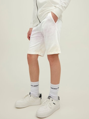 Jack & Jones Junior Regular Shorts in Mischfarben: predná strana