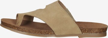 COSMOS COMFORT Zehentrenner in Beige