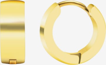 Akzent Earrings 'Gloie, langlebig' in Gold: front