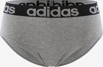 ADIDAS SPORTSWEAR Sportunterhose in Grau