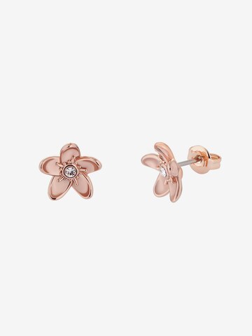 Ted Baker Earrings 'BEAAUU' in Gold