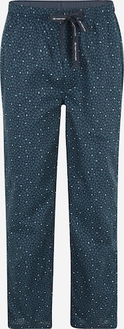 TOM TAILOR Pyjamahose in Blau: predná strana