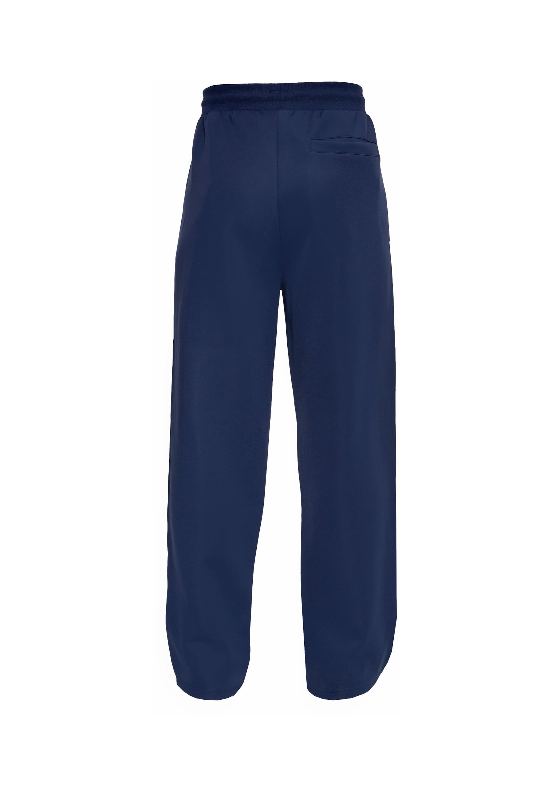 Dropsize Baggy Broek in Blauw