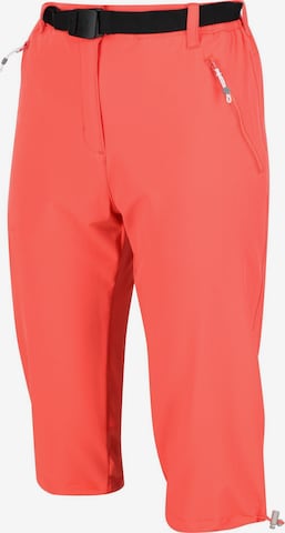 REGATTA Regular Outdoor Pants 'Xert' in Orange