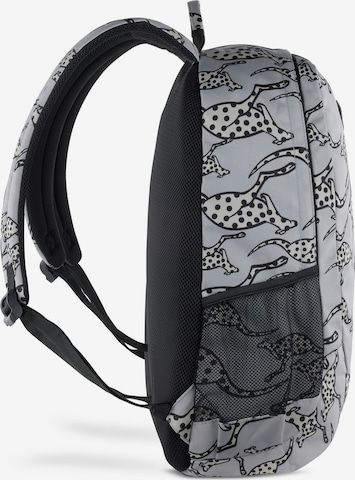 CHIEMSEE Rucksack 'Jump N Fly' in Grau