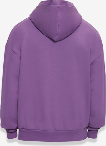 Dropsize Sweatshirt 'Bazix Republiq' in Purple