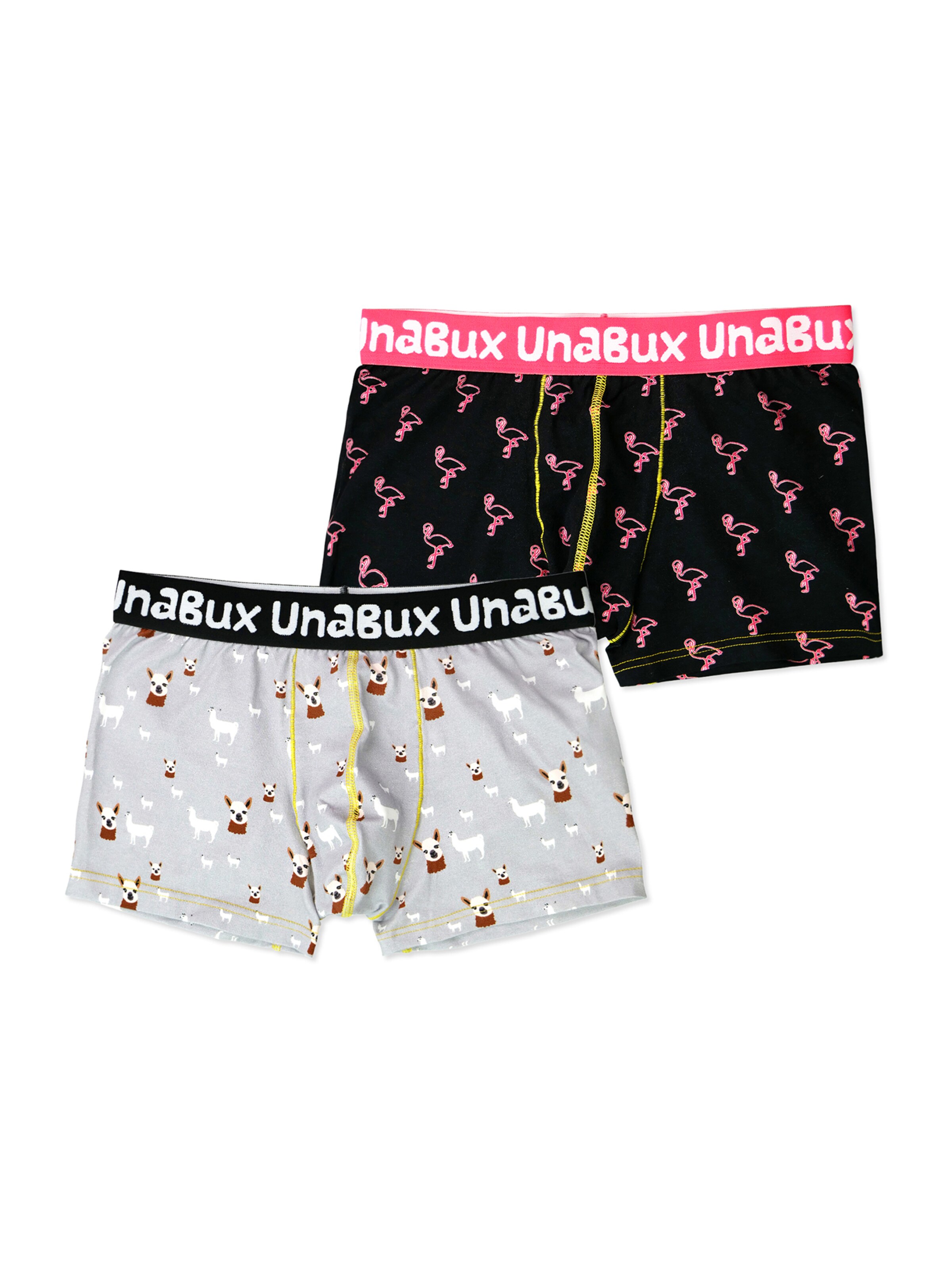 UNABUX Boxershorts in Grau: Vorderseite
