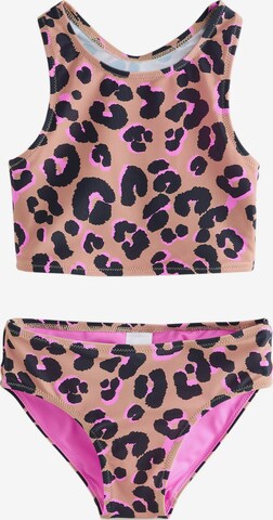 Next Bikini in Pink: front