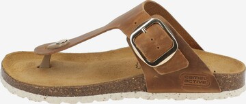 CAMEL ACTIVE T-Bar Sandals in Brown