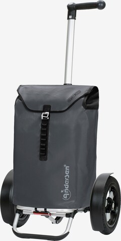 Trolley 'Tura' di Andersen Shopper in grigio: frontale