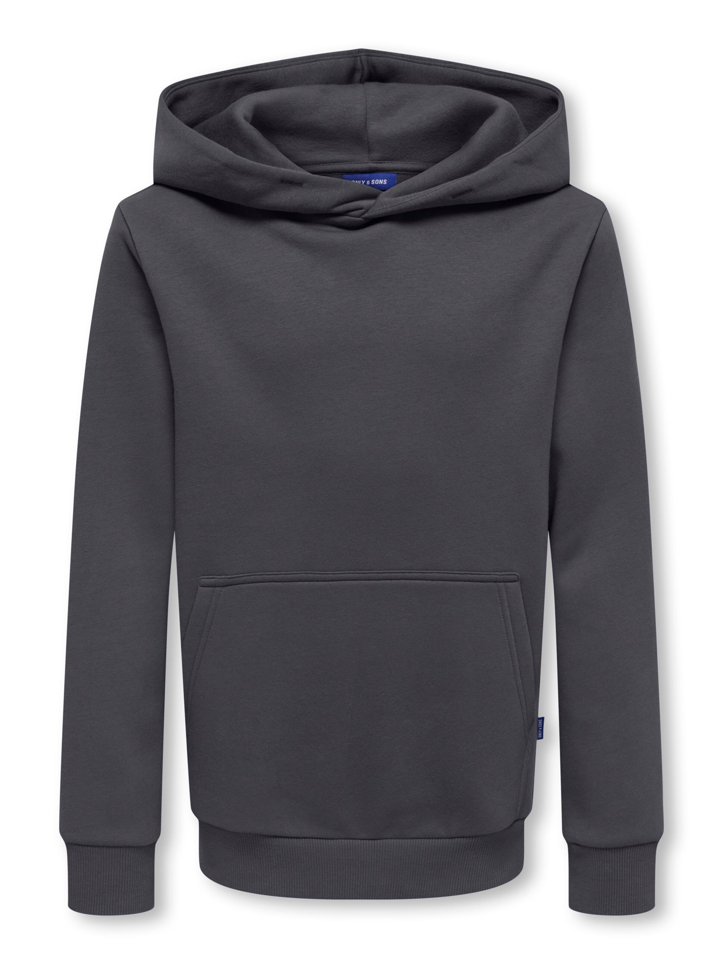 Only & Sons Junior Sweatshirt 'OSJCeres' in Grey: front