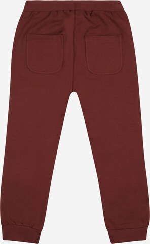 Hust & Claire Tapered Pants 'Thilda' in Brown