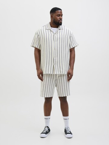 Jack & Jones Plus Regular fit Button Up Shirt 'JORCoba' in Green