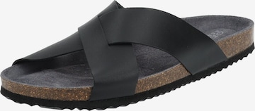 GEOX Mules in Black: front