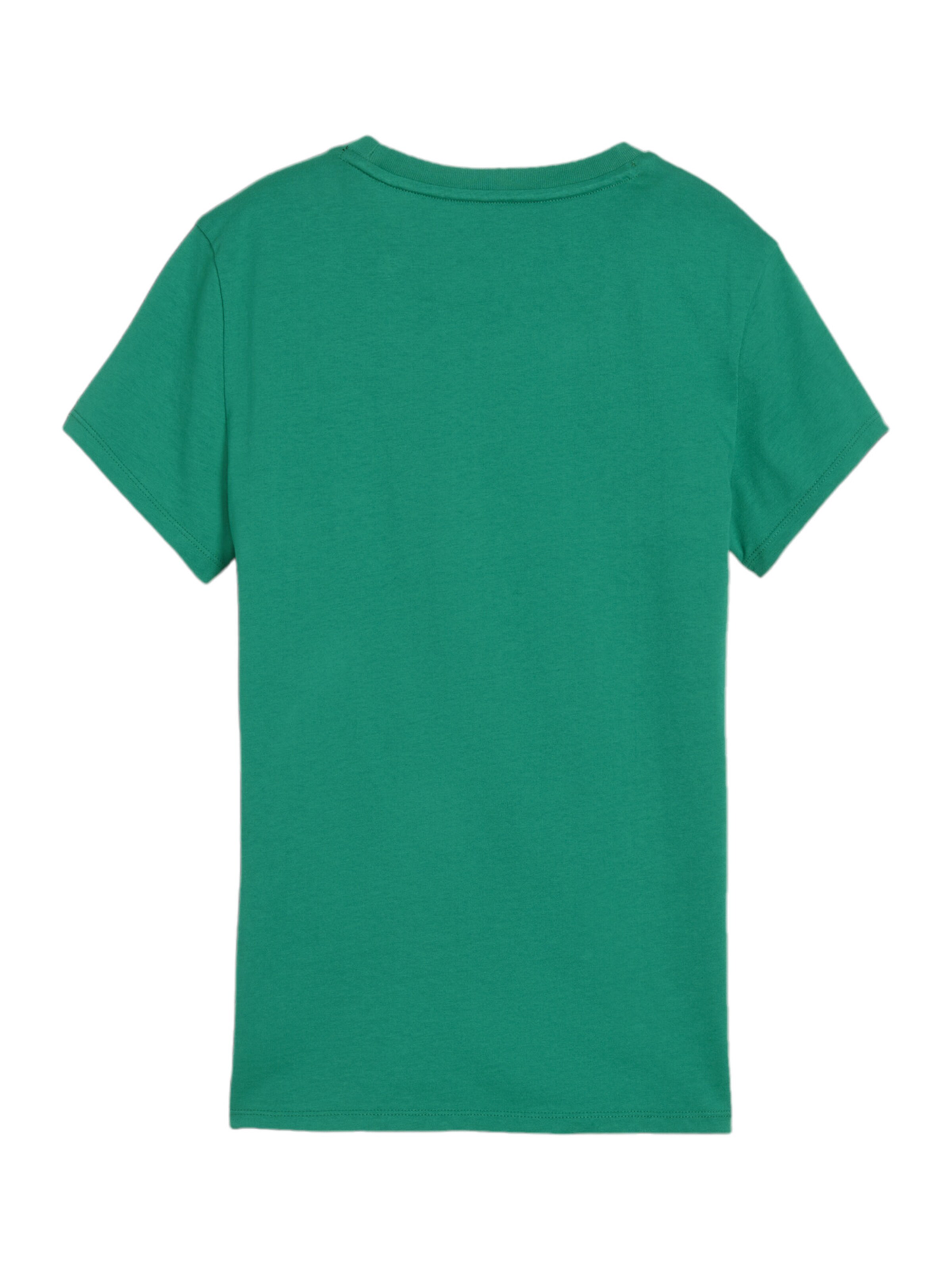 PUMA Performance Shirt 'TeamGoal' in Green