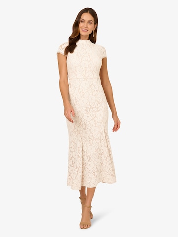 Adrianna Papell Abendkleid in Beige: Vorderseite