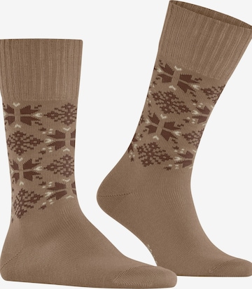 ESPRIT Socks 'Winter Star' in Beige: front