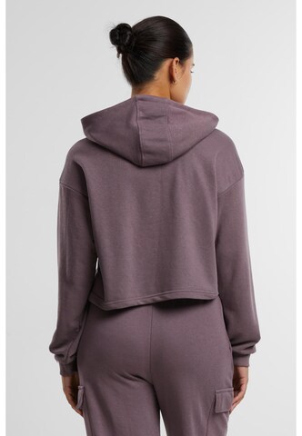 Urban Classics Sweatshirt in Purple