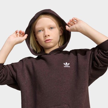 ADIDAS ORIGINALS Sweatshirt in Braun