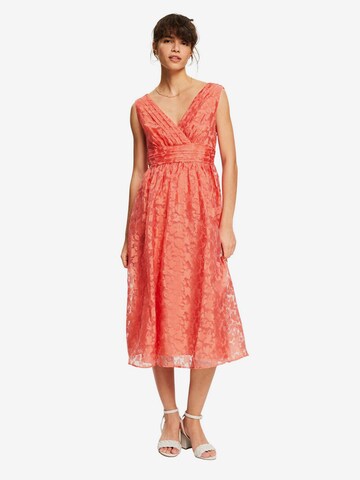 Esprit Collection Kleid in Orange: predná strana