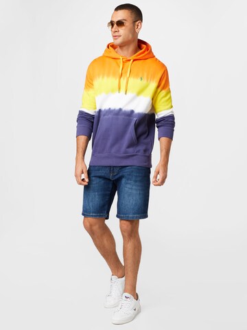 Polo Ralph Lauren Sweatshirt i blandingsfarger