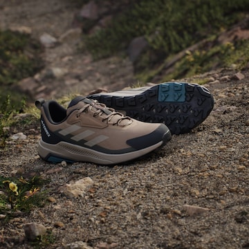ADIDAS TERREX Χαμηλό παπούτσι 'Anylander' σε καφέ