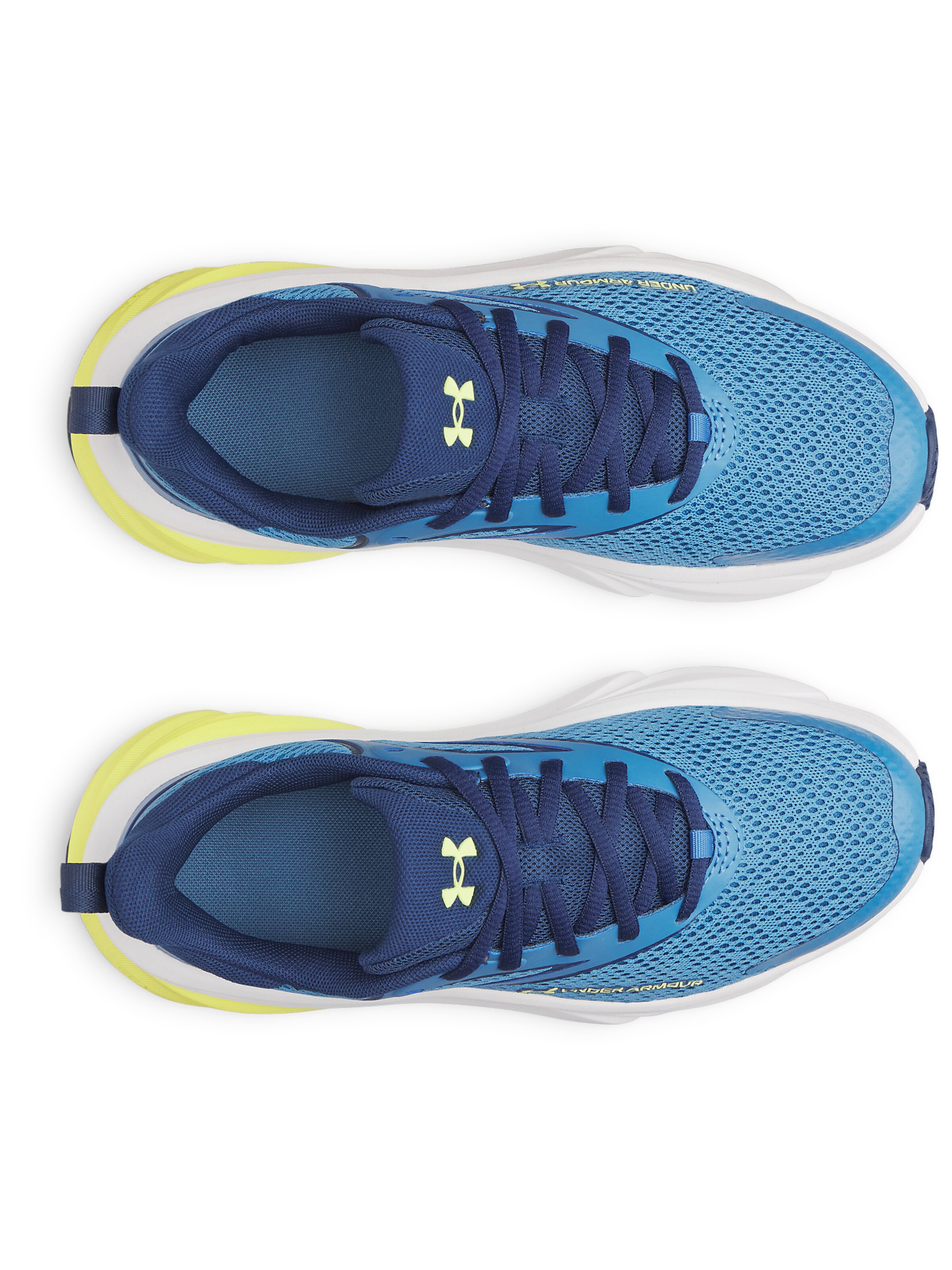 UNDER ARMOUR Sportschoen 'BGS Rogue 6' in Blauw