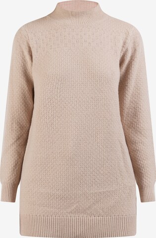 Pull-over usha FESTIVAL en beige : devant