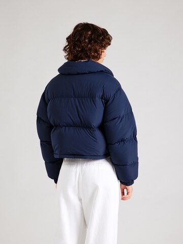 Tommy Jeans Зимняя куртка в Синий
