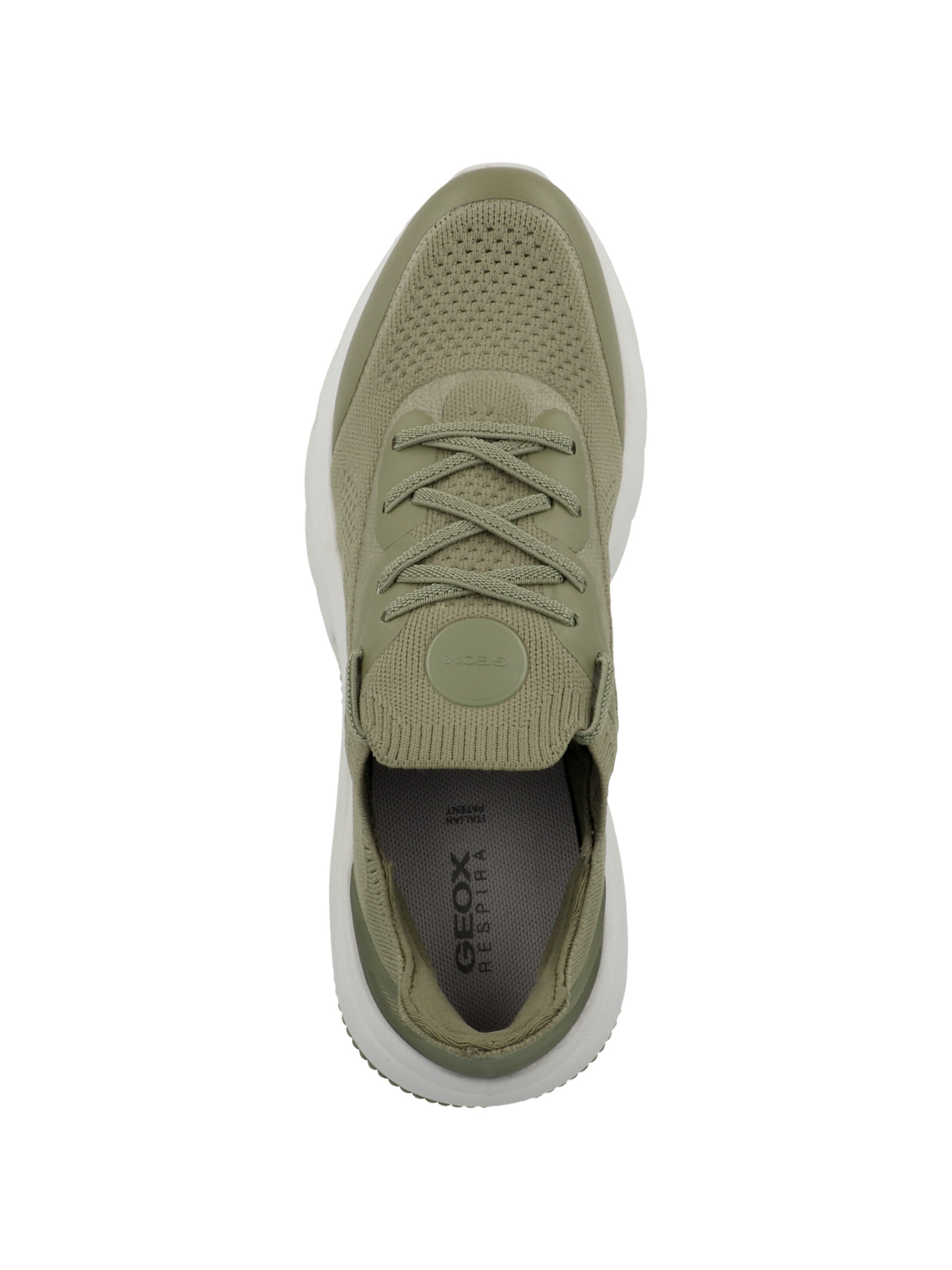 Sneaker bassa di GEOX in verde
