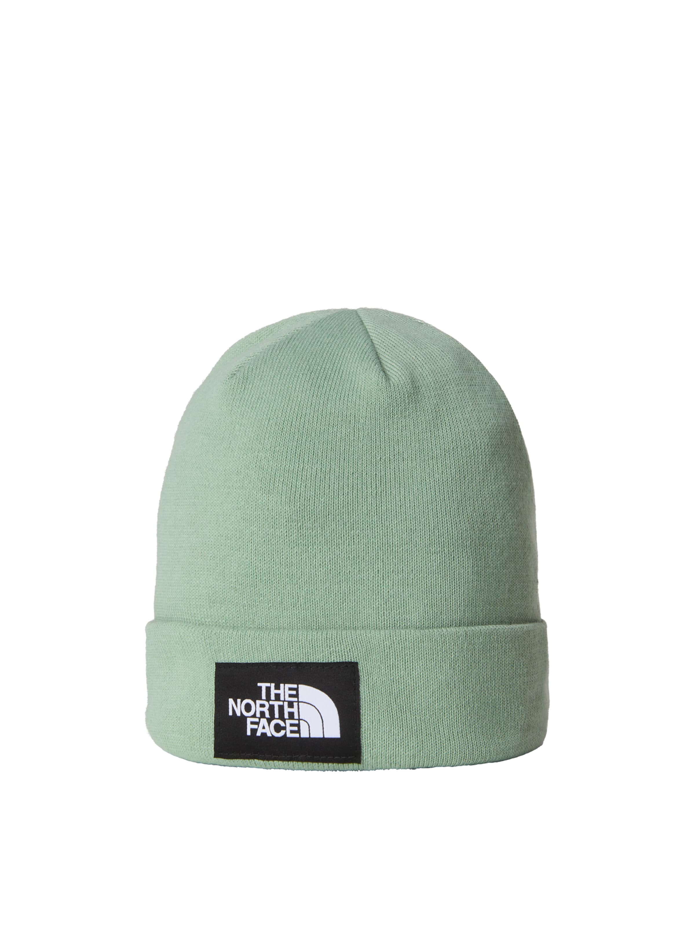 THE NORTH FACE Beanie in Green: front