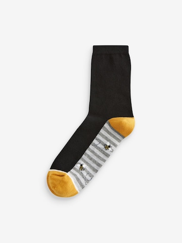 Next Socks in Blue