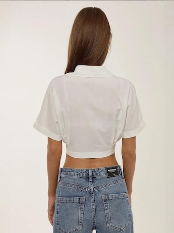 Hiccup Blouse in White