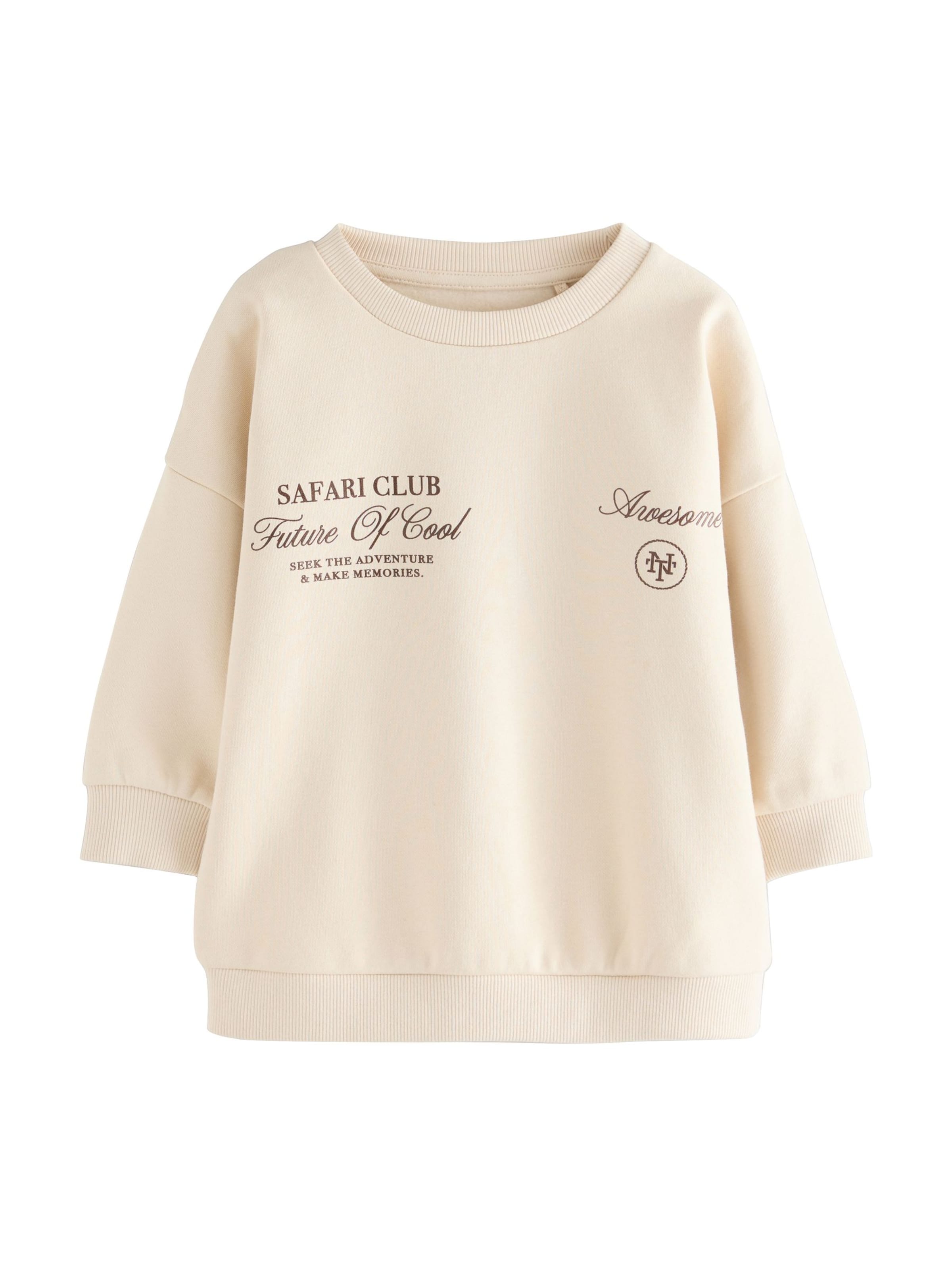 Next Sweatshirt in Beige: front