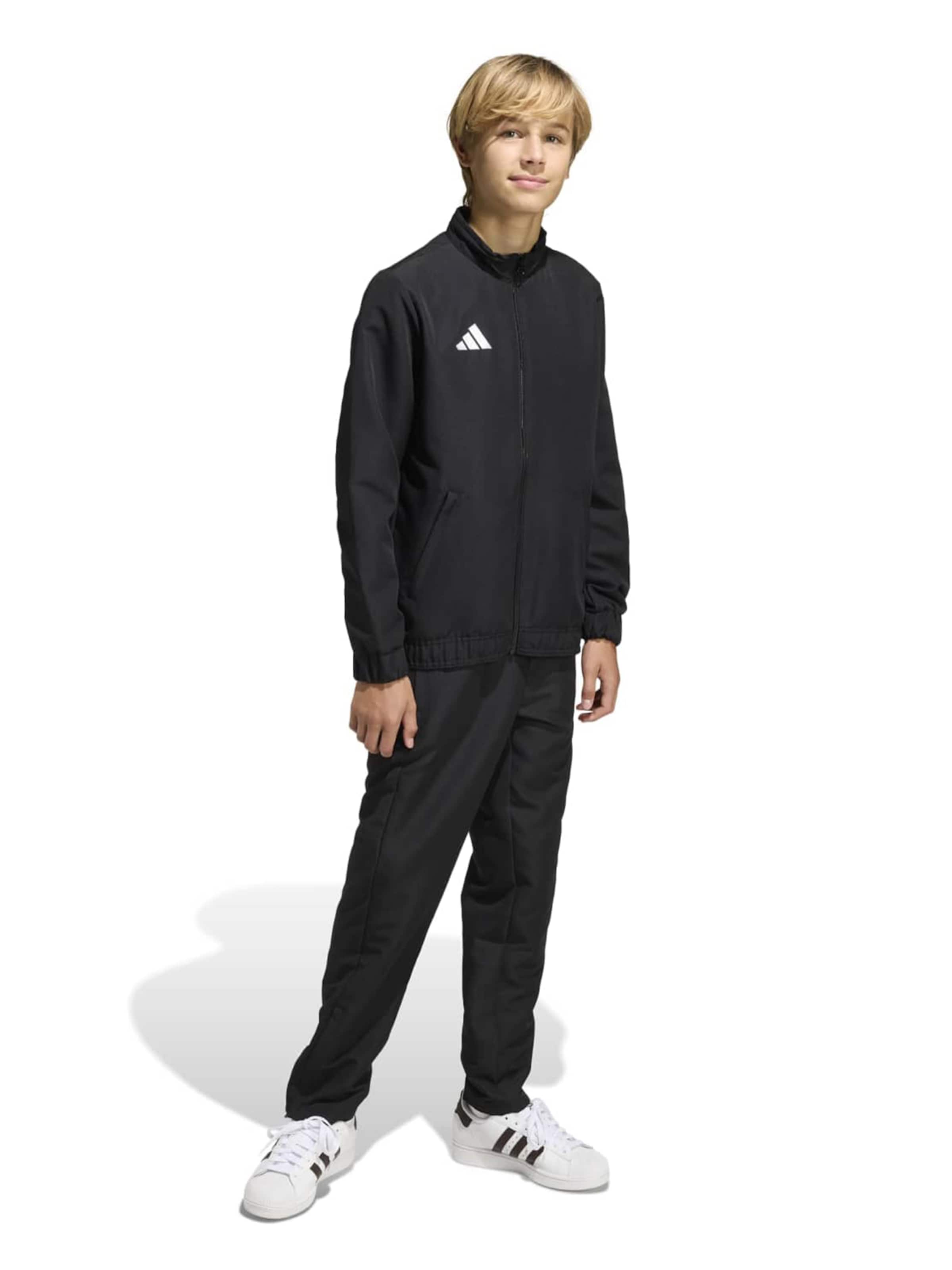 ADIDAS PERFORMANCE - regular Pantalón deportivo 'ENT26' en negro