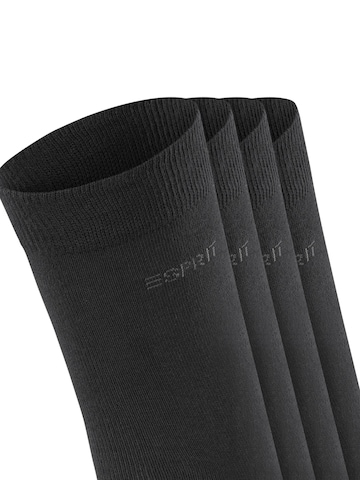 ESPRIT Socken 'Solid 4-Pack'‌ in Schwarz