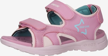 Sandales 'Vaniett' GEOX en rose : devant