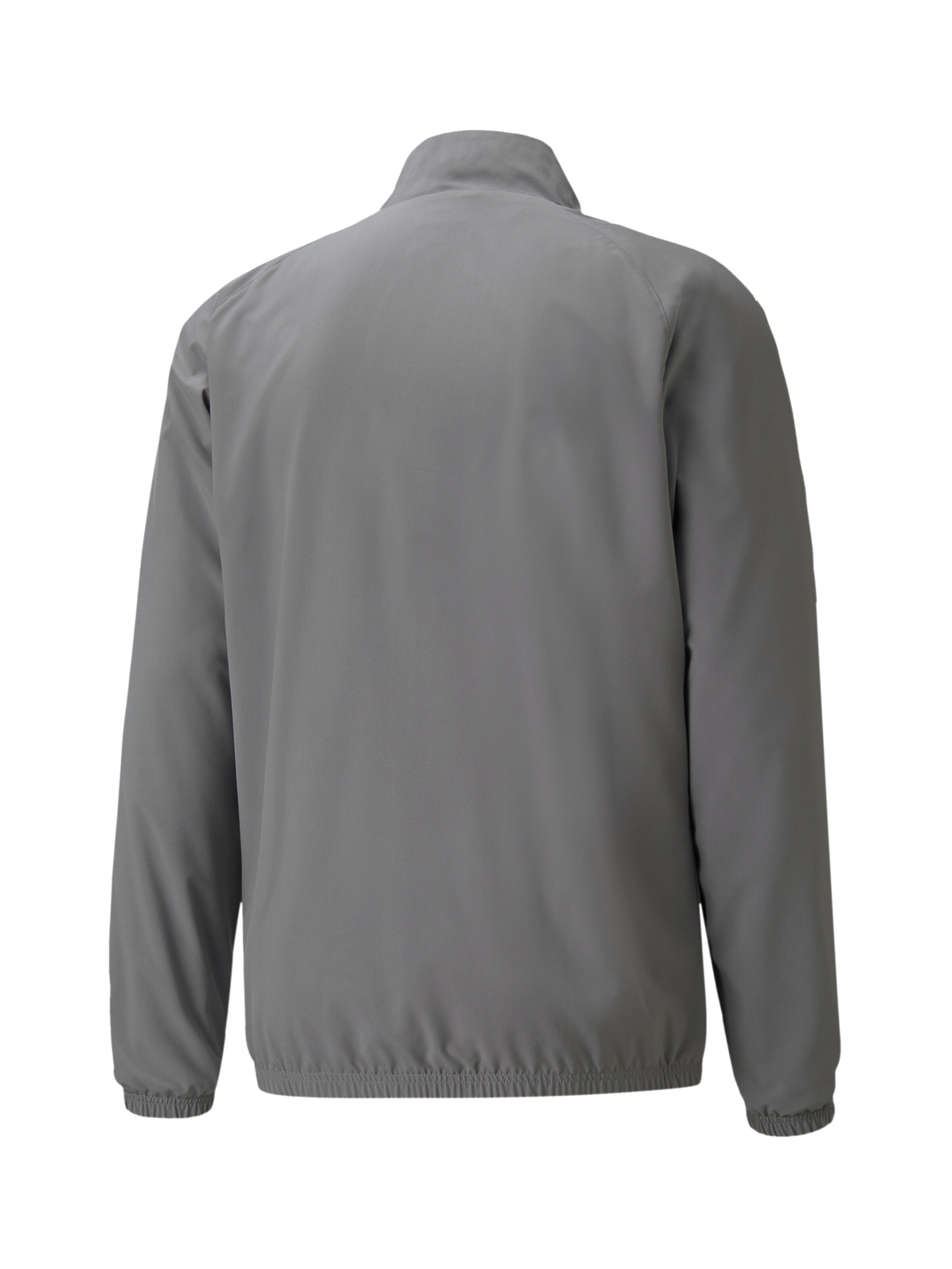 PUMA Sportjacke 'Team Liga' in Grau