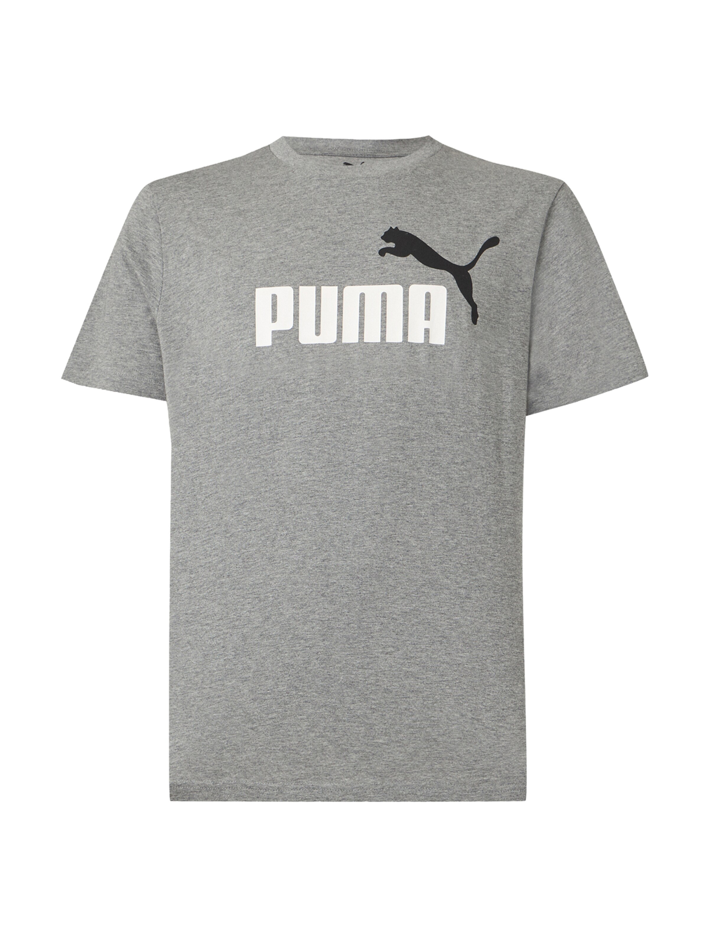 PUMA Funktionstopp 'ESS No. 1' i grå: framsida