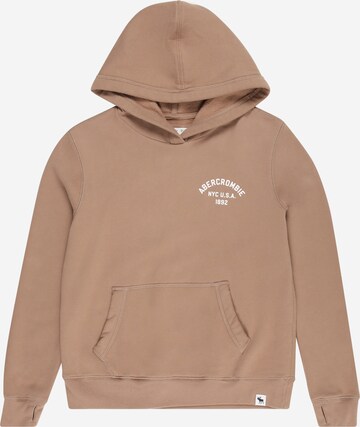 Abercrombie & Fitch Sweatshirt in Brown: front