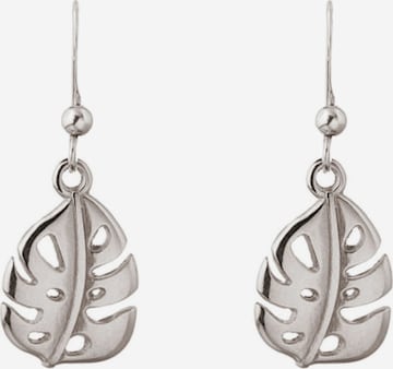 Gemshine Oorbellen in Zilver: voorkant