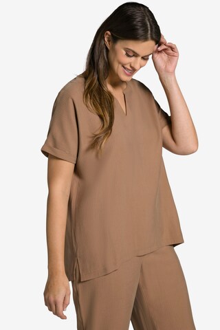 Ulla Popken Bluse '804259' in Braun: predná strana