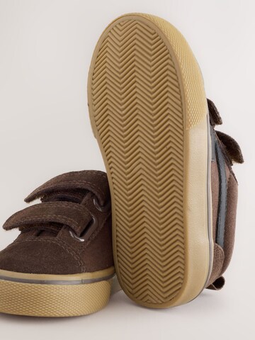 Next Trainers in Brown