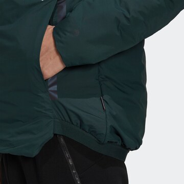 ADIDAS TERREX Outdoor jacket 'Terrex Ct Myshelter' in Green