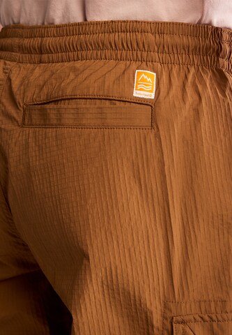 Tapered Pantaloni de la TIMBERLAND pe maro