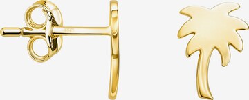Sofia Milani Ohrringe 'Palm' in Gold: Vorderseite