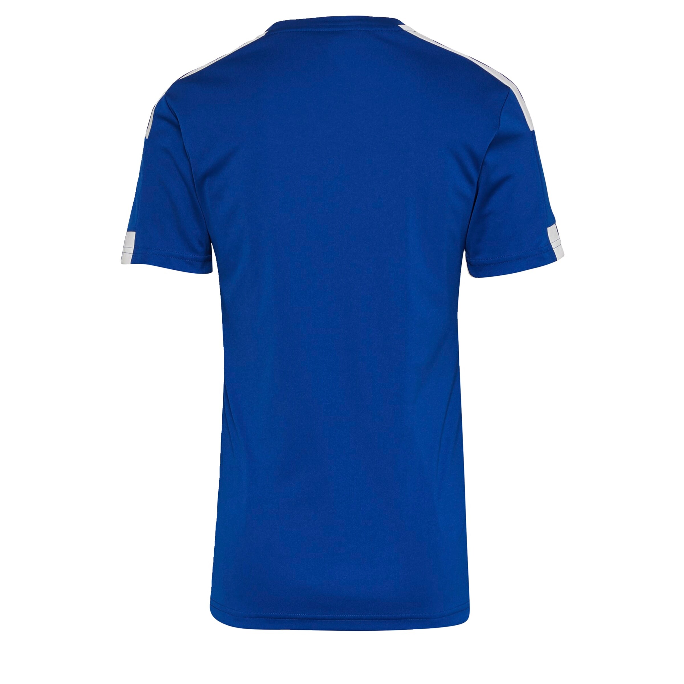 ADIDAS PERFORMANCE Jersey 'Squadra 21' in Blue