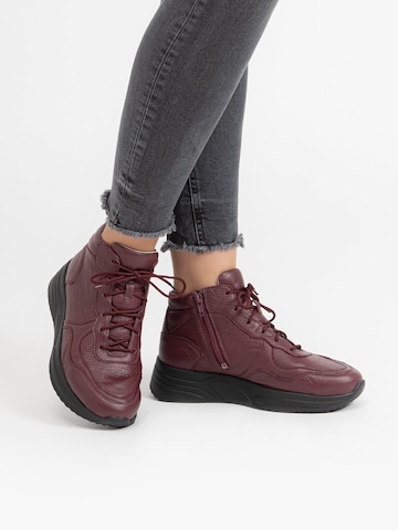 VITAFORM Schnürstiefelette in Lila