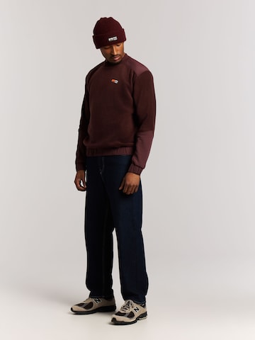 PROTEST Pullover 'PRTKeenan'‌‌‌‌‌‌‌‌‌ in Rot